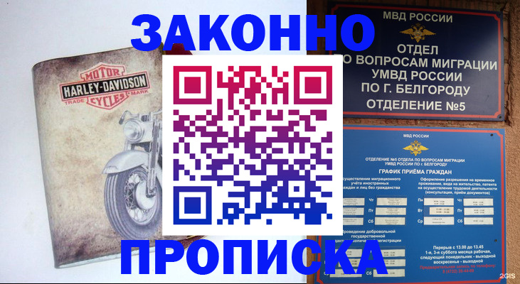 прописка для школы в Снежногорске